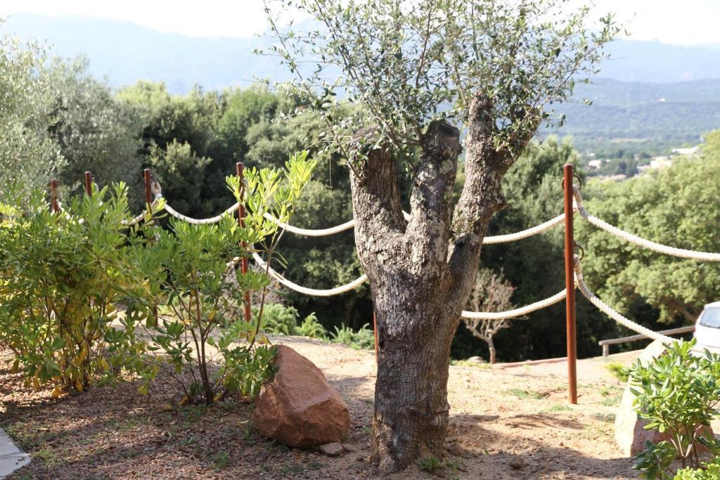 Residence A Licetta Porto-Vecchio  Kamer foto
